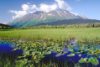 The Seward Highway, Alaska